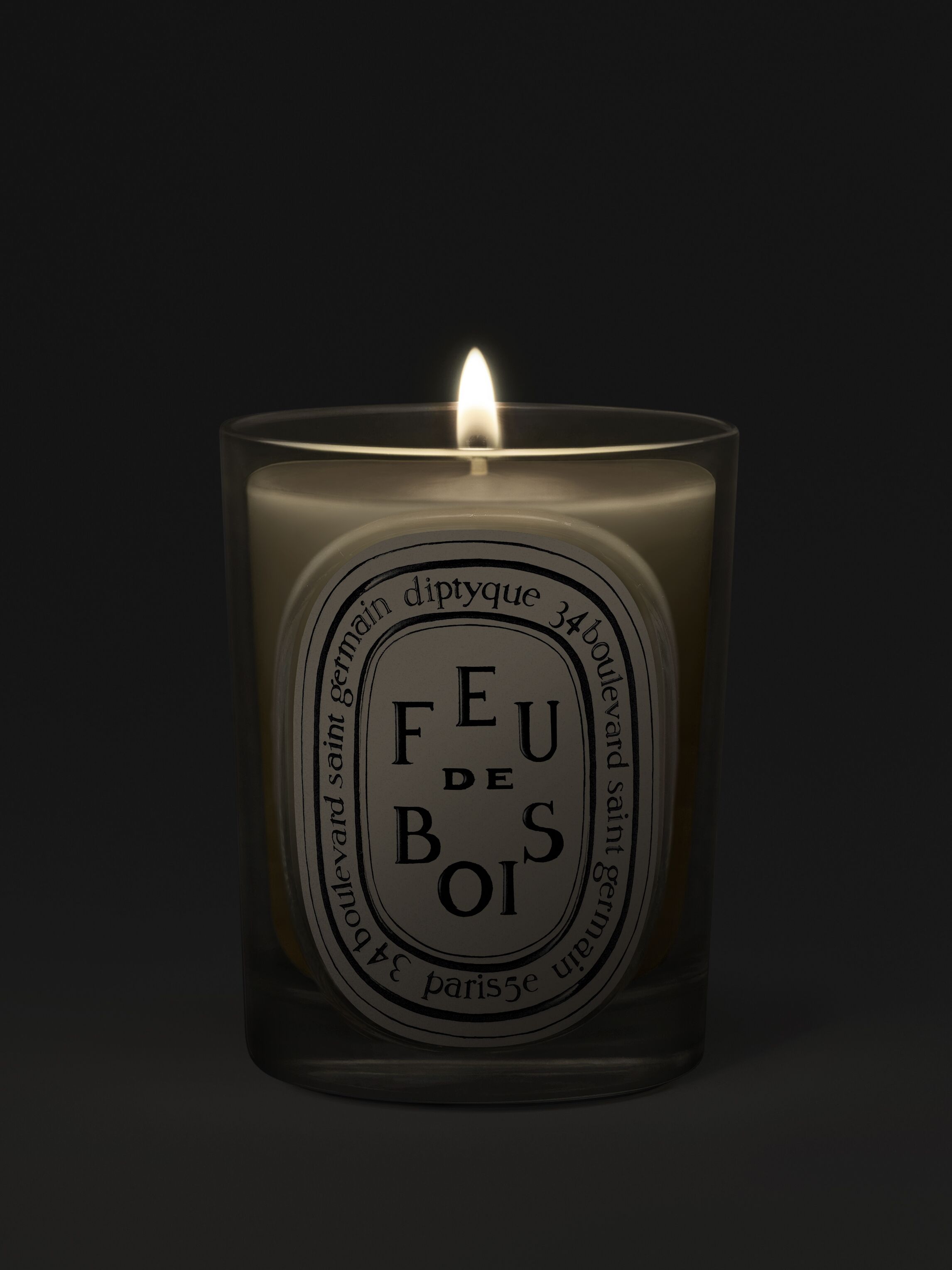 Diptyque Feu de Bois Wood Fire Classic Candle