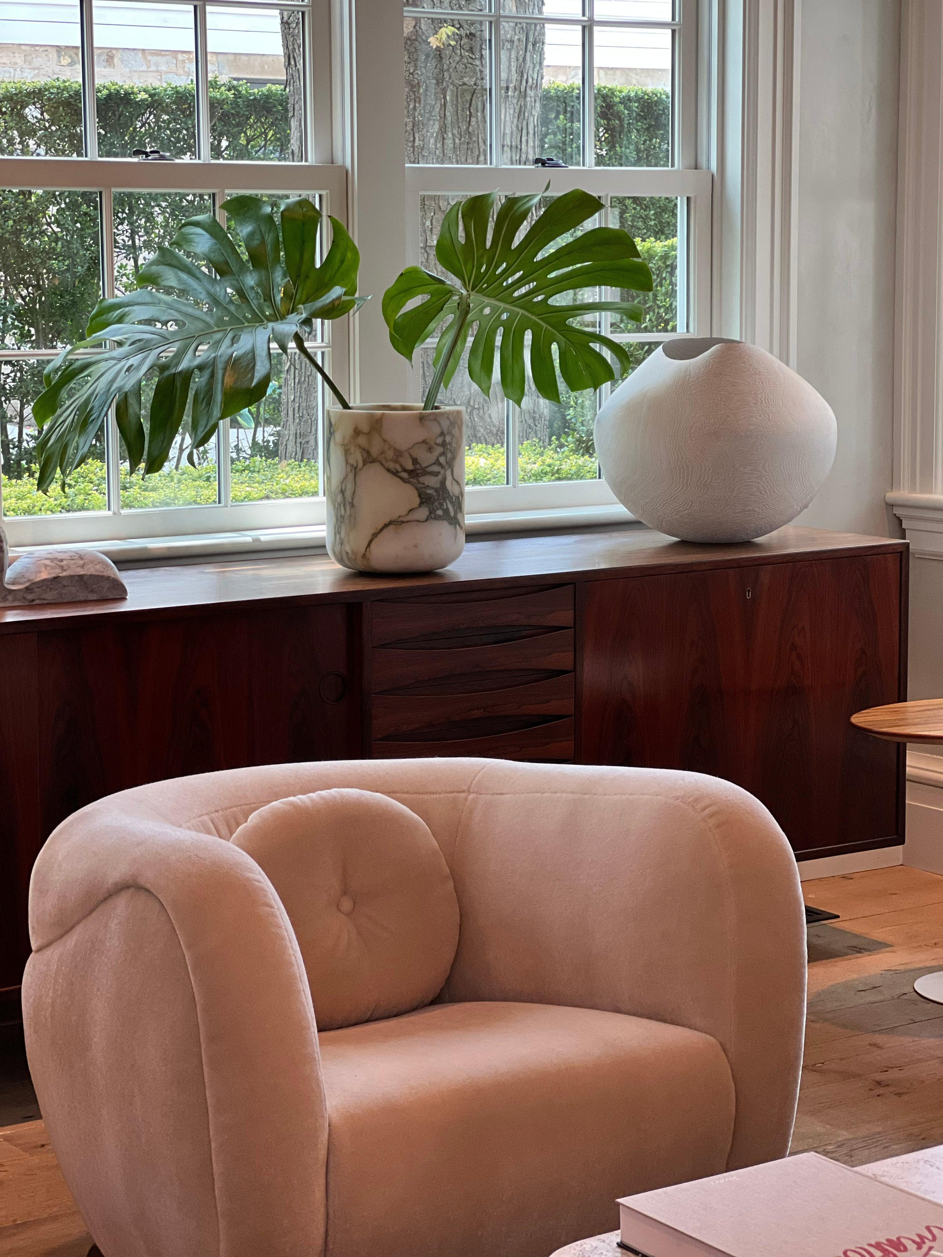 Pierre Augustin Rose Minitore Teddy - Main Image