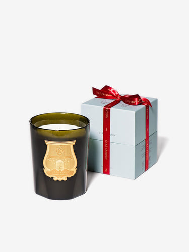 Cire Trudon Abd el Kader (Moroccan Mint Tea) Great Candle Home Accessories New Candles and Home Fragrance Default