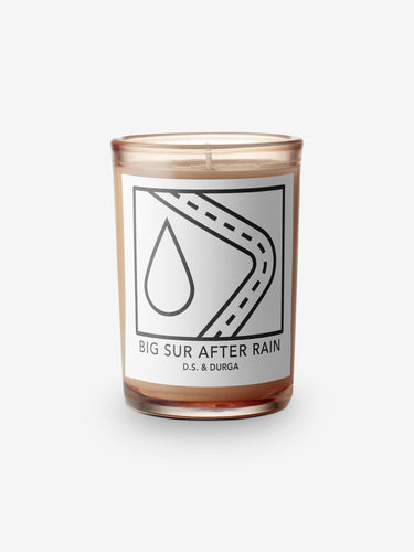 D.S. & Durga Big Sur After Rain Candle by D.S. & Durga Home Accessories New Candles and Home Fragrance 4
