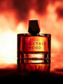 Electric Wood Extrait by Room 1015