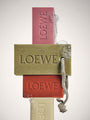 Solid Soap in Ivy by Loewe