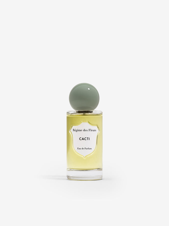 Cacti by Regime des Fleurs