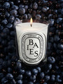 Baies Candle by Diptyque