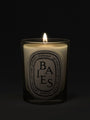 Baies Candle by Diptyque