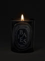 Baies Candle by Diptyque