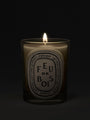 Feu de Bois Candle by Diptyque