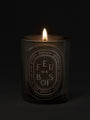 Feu de Bois Candle by Diptyque