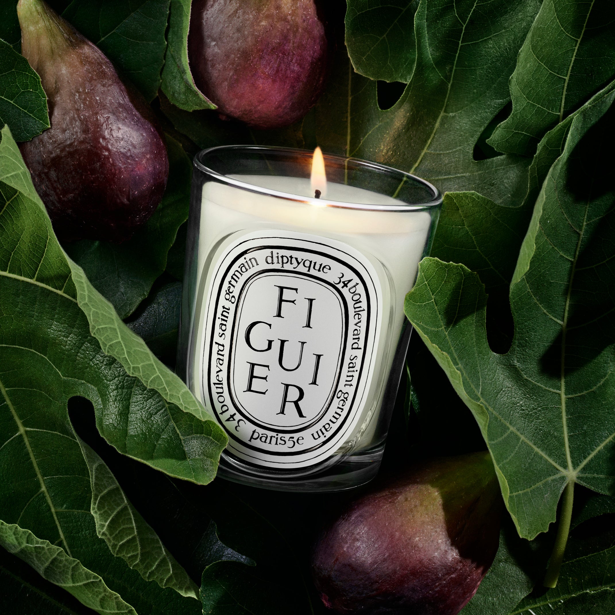 DIPTYQUE キャンドル FIGUIER (フィギエ) Figuier Candle by Diptyque