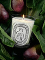 Figuier Candle by Diptyque