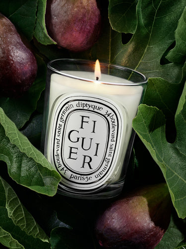 Figuier Candle by Diptyque