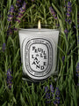 Feuille de Lavande Candle by Diptyque