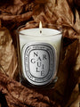 Narguile Candle by Diptyque