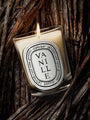 Vanille Candle by Diptyque