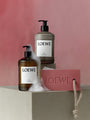 Body Lotion in Ivy by Loewe