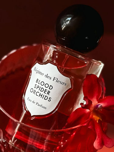 Blood Spider Orchids by Regime des Fleurs