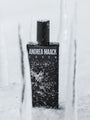 Coven by Andrea Maack