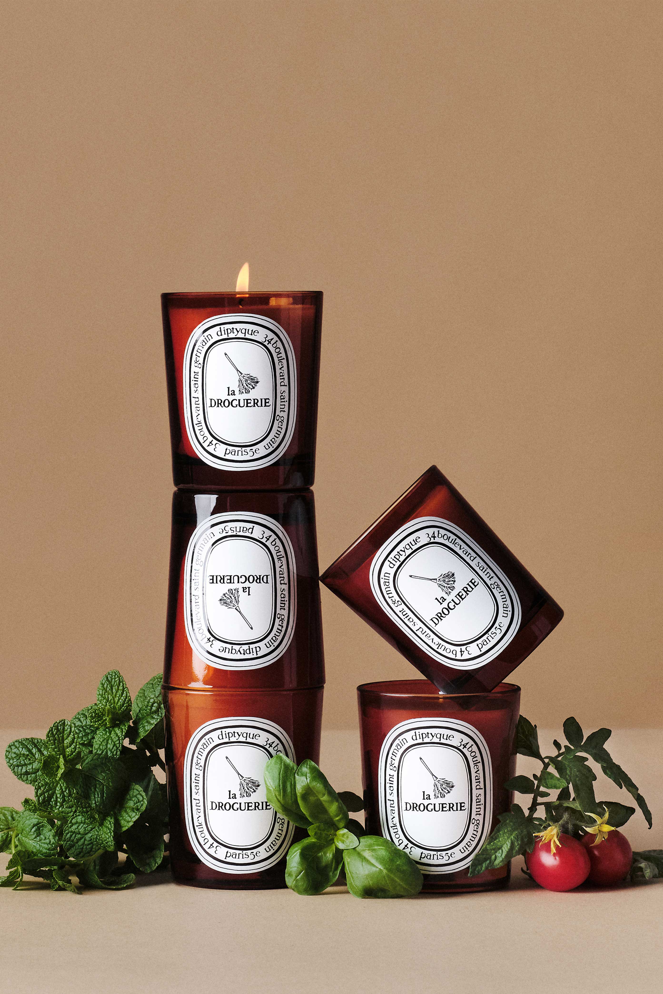 Diptyque Odor Removing Candle with Basil Candle - Thumbnail 3