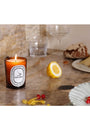 La Droguerie Odor Removing Candle by Diptyque