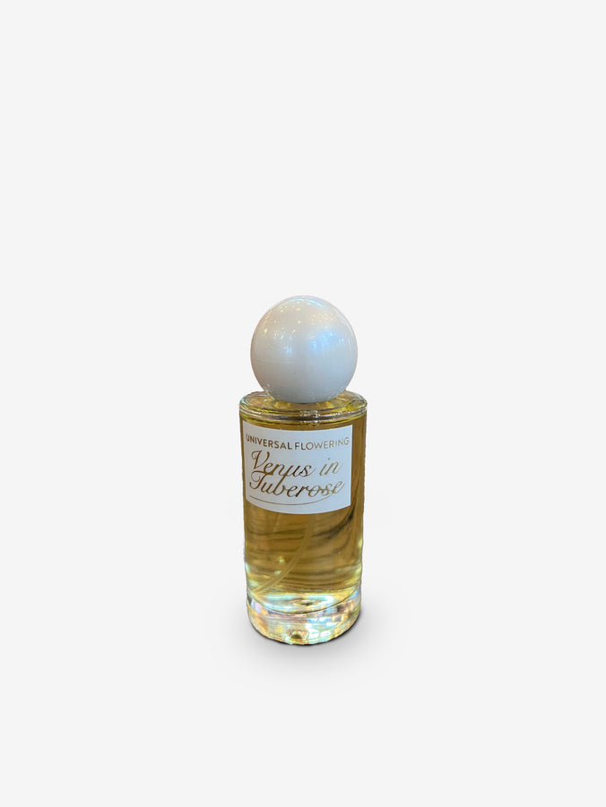 Venus in Tuberose by Universal Flowering