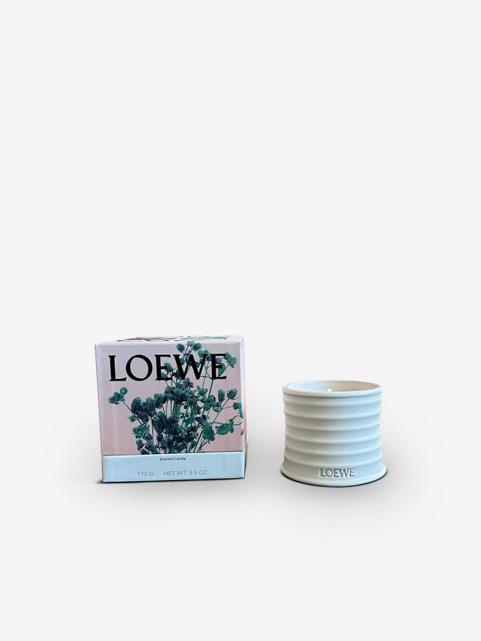 Small Oregano Candle by Loewe