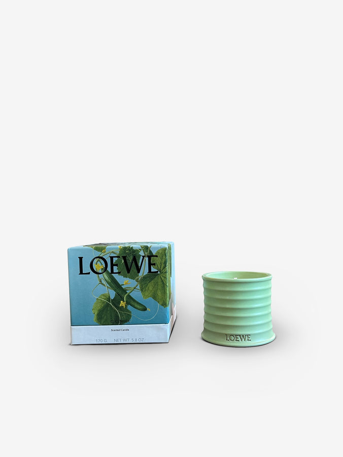 Small Cucumber Candle by Loewe