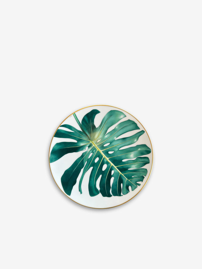 Passifolia Dinner Plate Philodendron by Hermes
