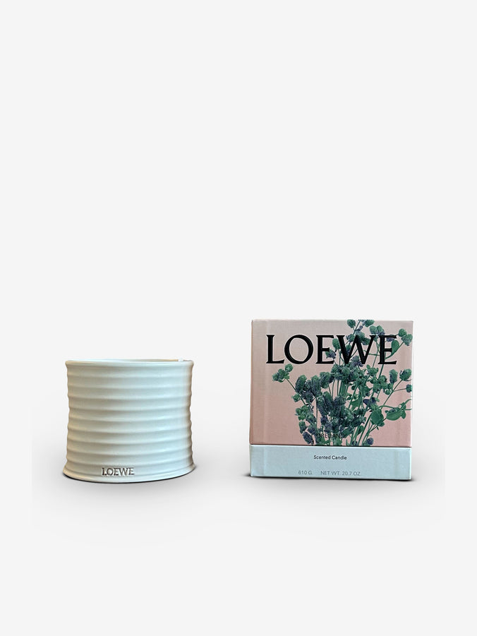 Medium Oregano Candle by Loewe