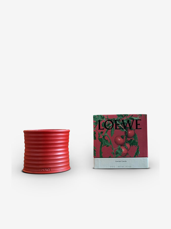 Medium Tomato Candle by Loewe