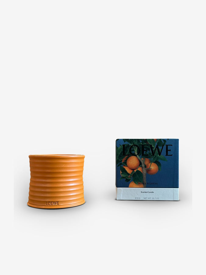 Medium Orange Blossom Candle by Loewe
