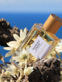 Ingenious Ginger by Goldfield & Banks