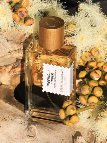 Ingenious Ginger by Goldfield & Banks