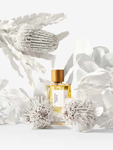 Ingenious Ginger by Goldfield & Banks