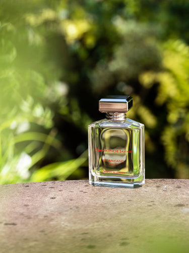 Isfarkand by Ormonde Jayne