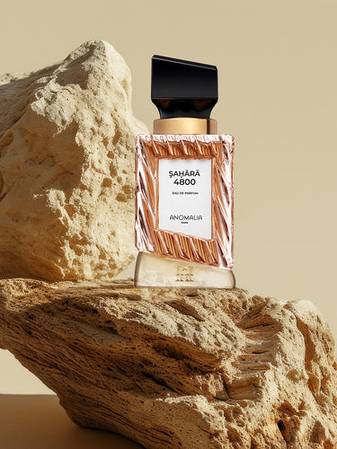 Sahara 4800 by Anomalia