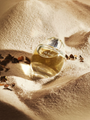 The Silk Road by d'Annam