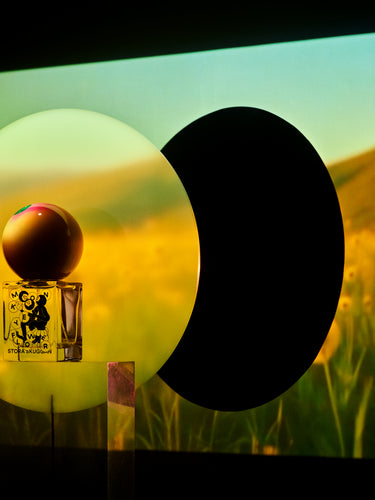 Monkeyflower by Stora Skuggan