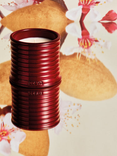 Sweet Almond Scented Candle Plus by Loewe