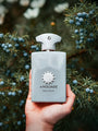 Decision by Amouage