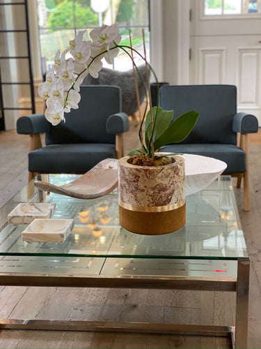 Pair Of Pierre Jeanneret 1960 Capitol Complex Chairs in Grigrio Linen with Teak