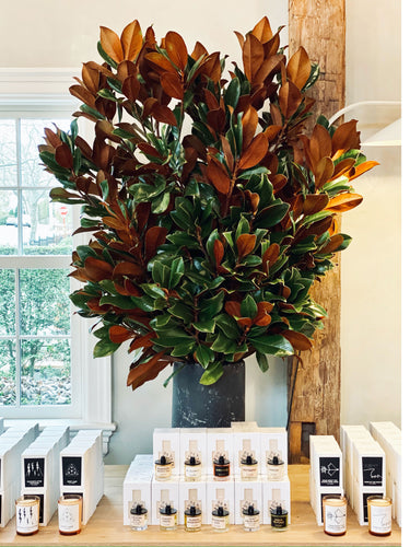 Amber Kiso Fragrance by D.S. & Durga