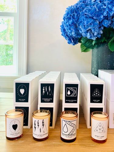 Holy Ficus Candle by D.S. & Durga