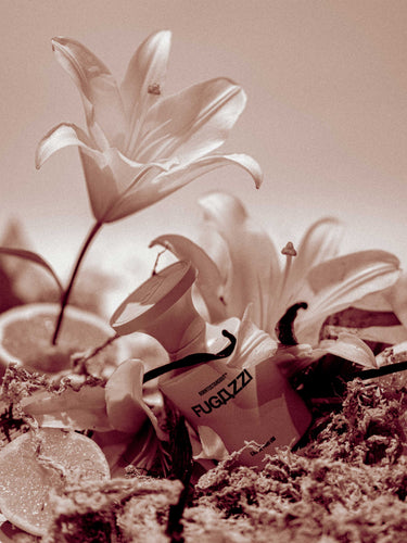 FUGAZZI by BORNTOSTANDOUT