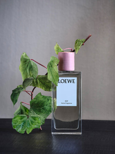Ivy Home Fragrance by Loewe