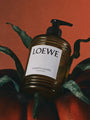 Liquid Soap in Tomato Leaves by Loewe