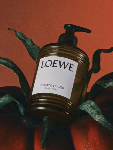 Liquid Soap in Tomato Leaves by Loewe