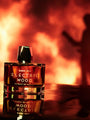 Electric Wood Extrait by Room 1015