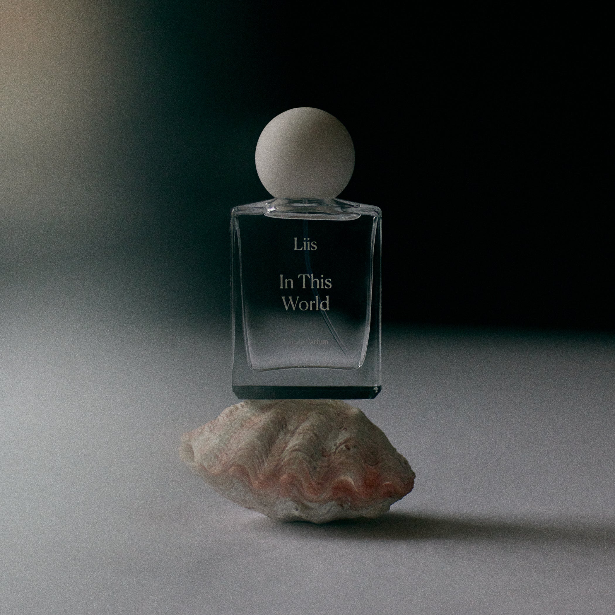 In This World by Liis