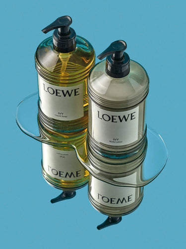 Body Lotion in Ivy by Loewe