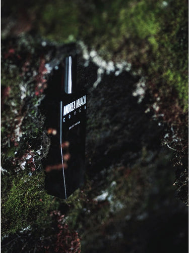 Coven by Andrea Maack